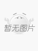 bv官网中国官方网站